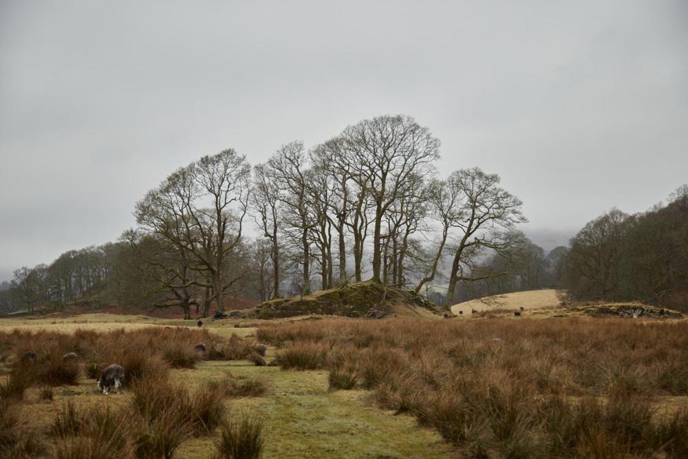 Little Nut Cottage Ambleside Εξωτερικό φωτογραφία