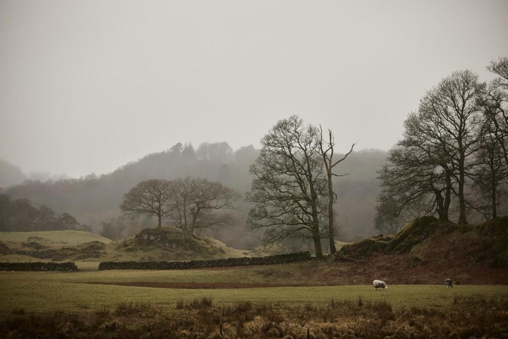 Little Nut Cottage Ambleside Εξωτερικό φωτογραφία